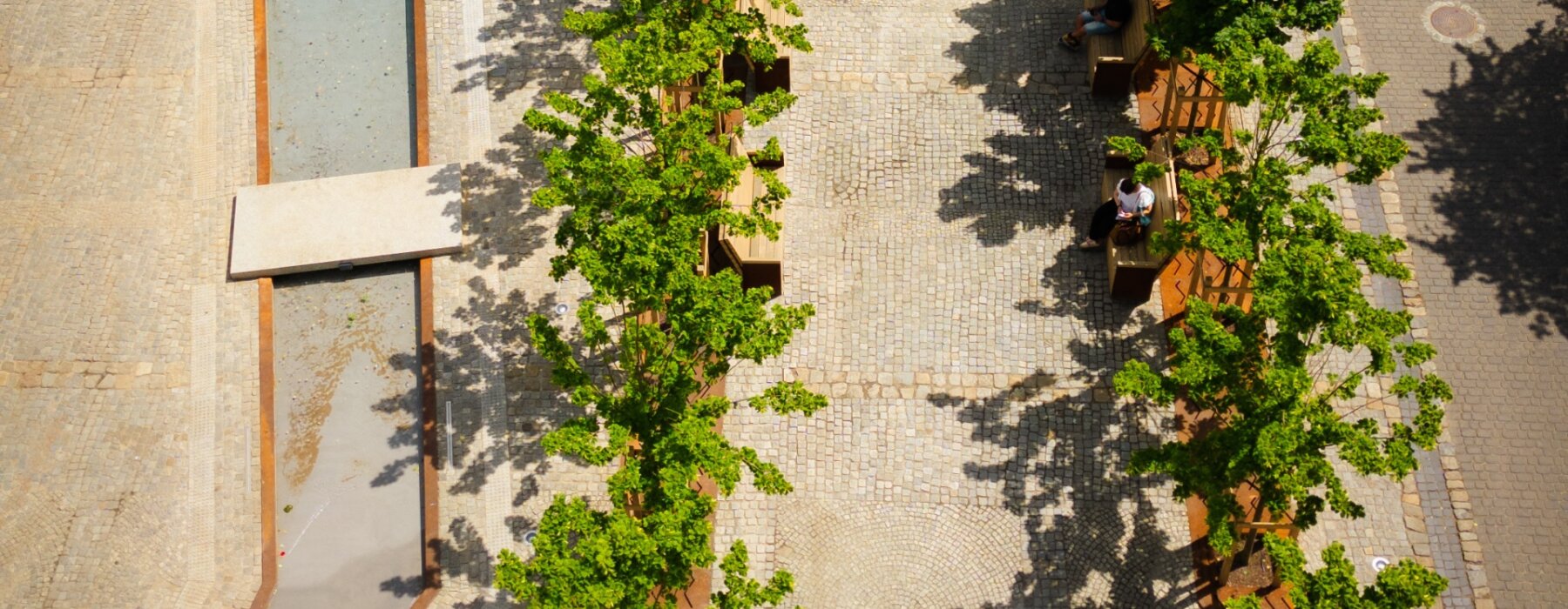 /upload/content/gallery/580/dji-0018.jpg