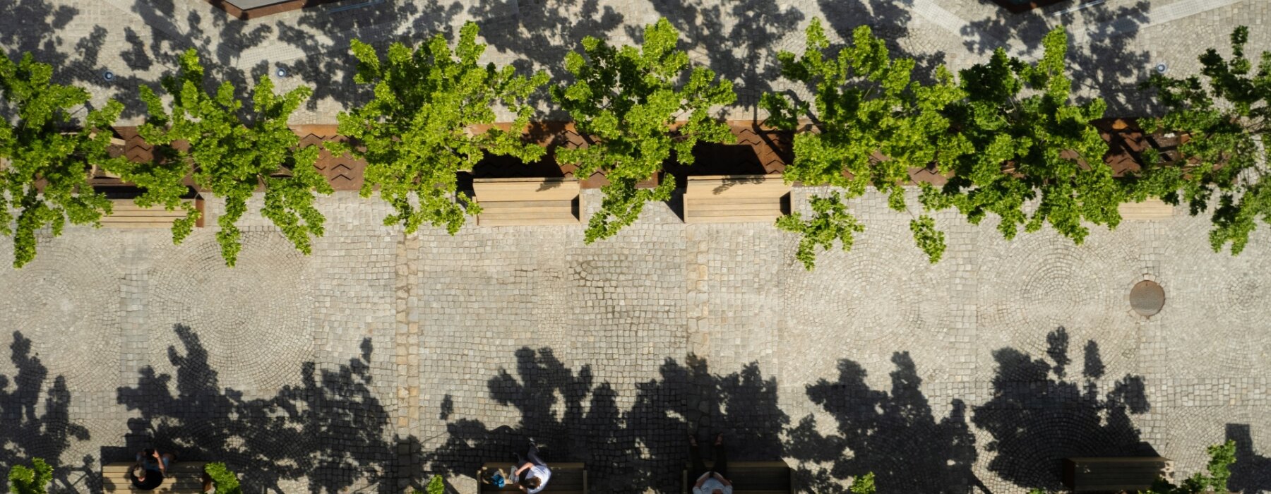 /upload/content/gallery/580/dji-0034.jpg