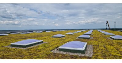 Green Roof for Blum Polska