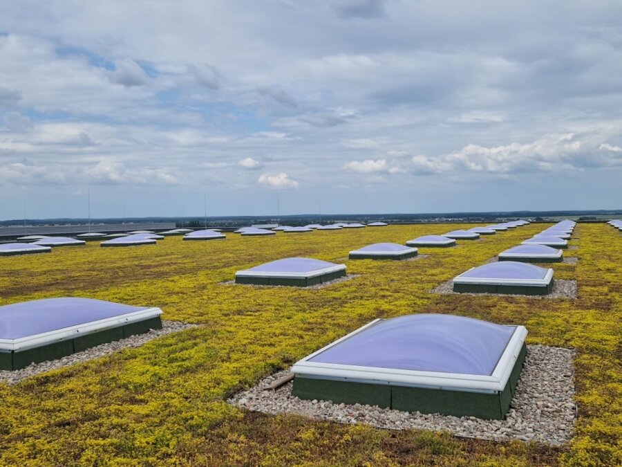 Green roof for Blum Polska