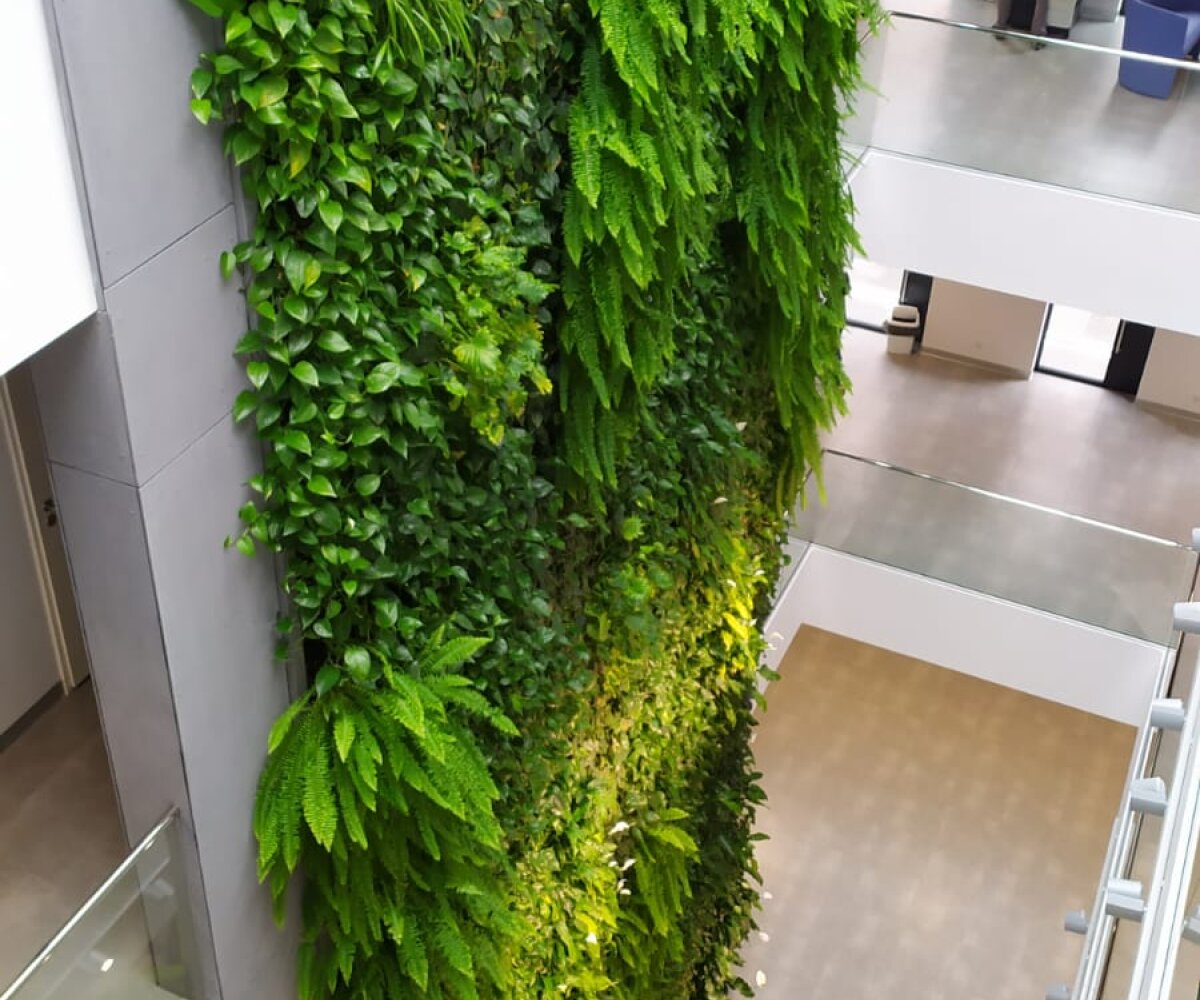 What characterizes green walls from Garte?