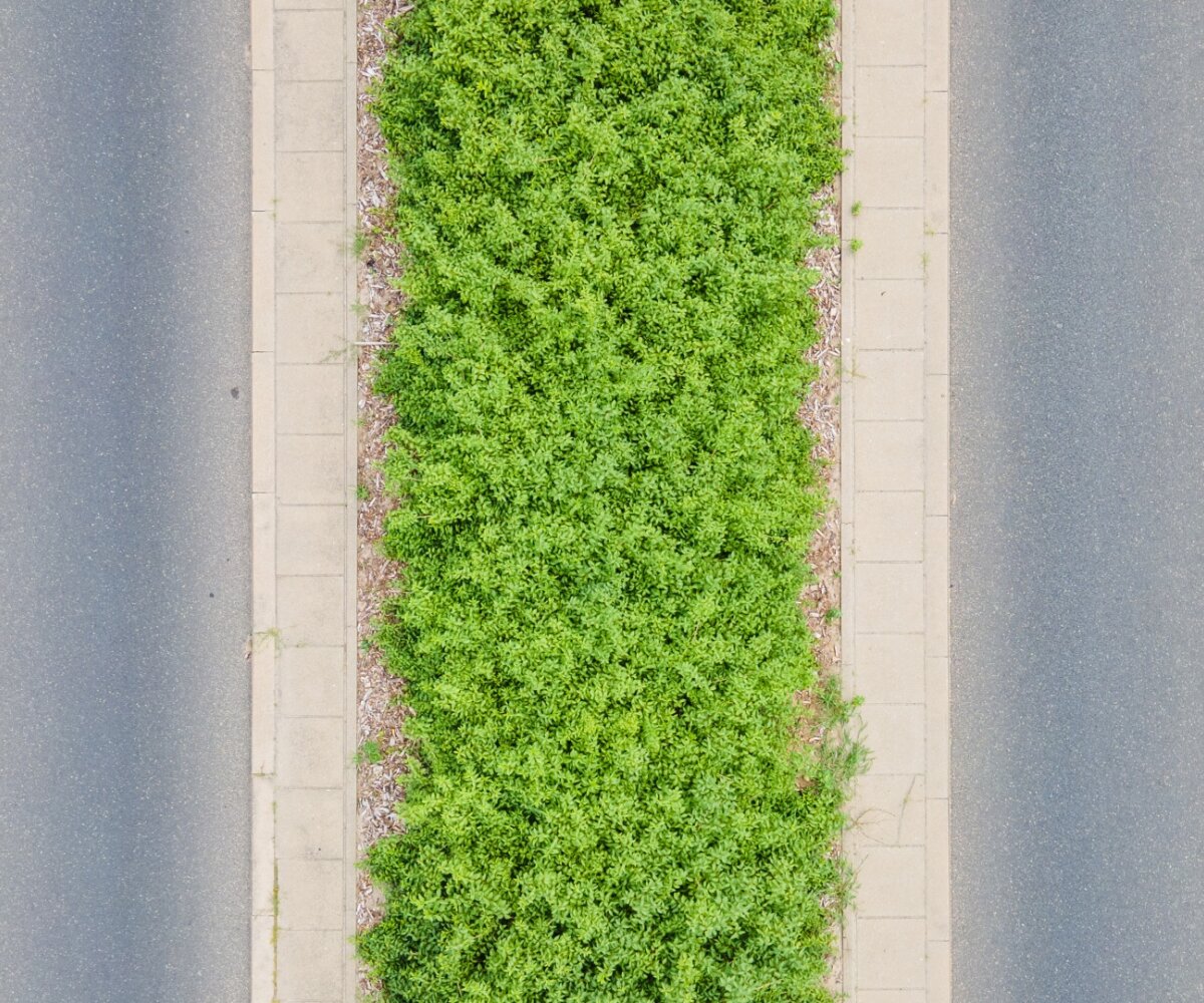 Why is it worth to build green streets with Garte??