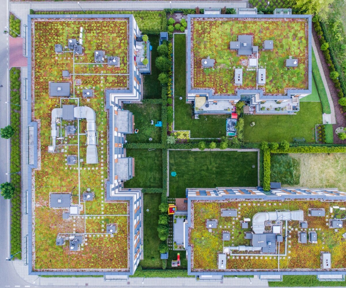 What distinguishes green roofs  from Garte?